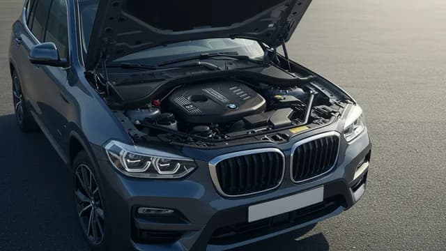 2021 BMW X3 — BMW X3 tank ventilation diagnosis