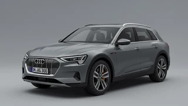 2021 Audi e-tron — Audi e-tron navigation fault B126CF0