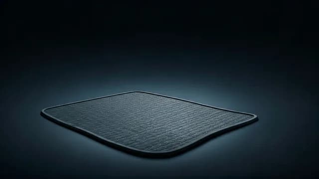 2021 TOYOTA Camry — Toyota Camry floor mat