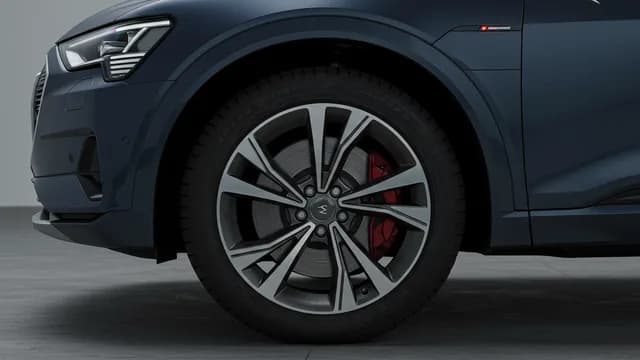 2022 Audi e-tron — Audi e-tron suspension DTC