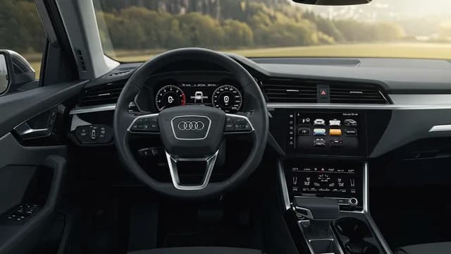 2022 Audi e-tron — Audi e-tron connect services