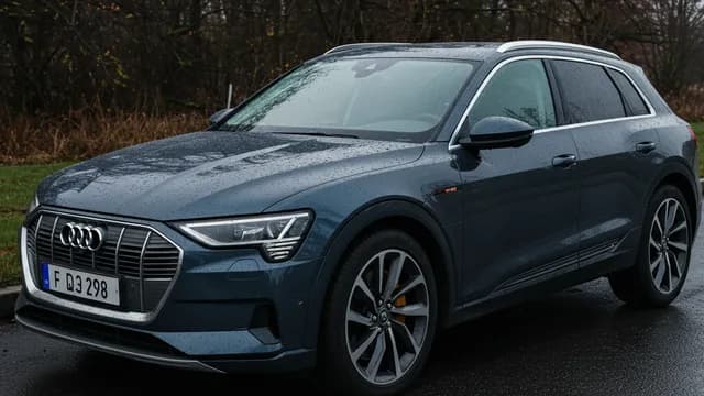 2022 Audi e-tron — Audi e-tron detached door seals