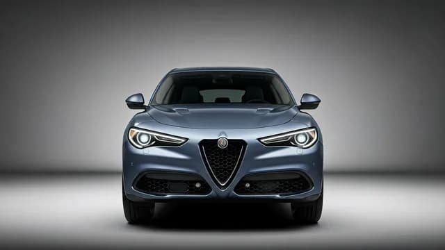 2022 Alfa Romeo Stelvio — Alfa Romeo Stelvio ACC does not operate