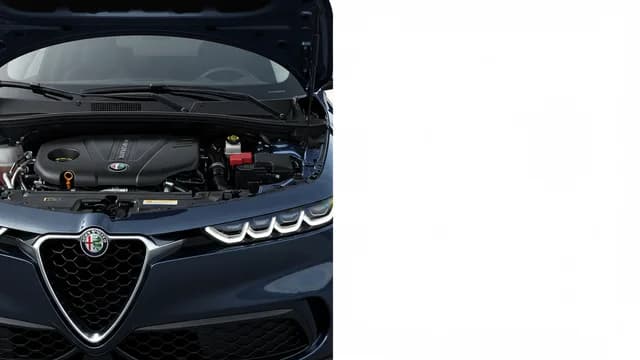 2024 Alfa Romeo Tonale — Alfa Romeo Tonale Fast Feedback