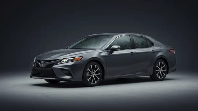 2021 TOYOTA Camry — Toyota Camry acid rain damage