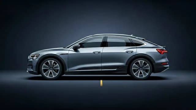 2022 Audi e-tron — Audi e-tron parking aid malfunction