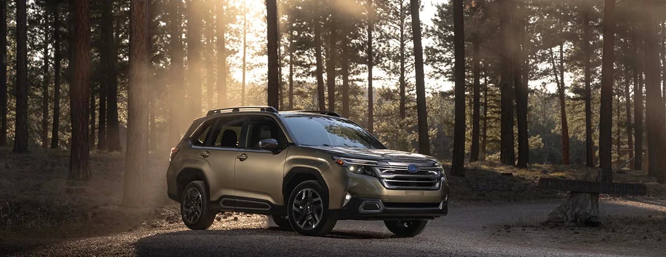 Subaru press release illustration