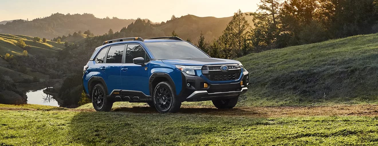 Subaru press release illustration