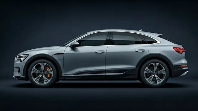 2021 Audi e-tron — Audi e-tron air suspension warning