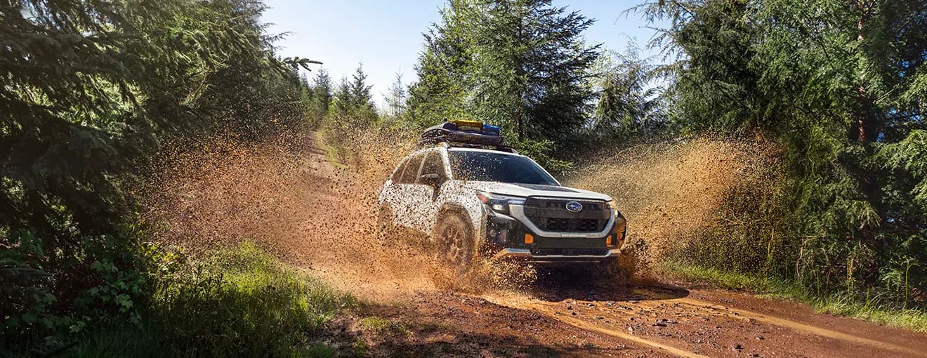 Subaru press release illustration
