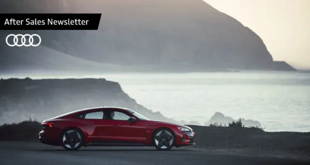 2021 Audi e-tron — manufacturer_communication document image 5