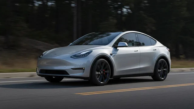 2021 TESLA Model Y — TESLA Model Y owner's manual content