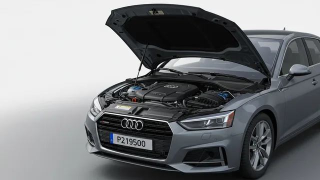 2025 Audi A5 — Audi check engine light P219500