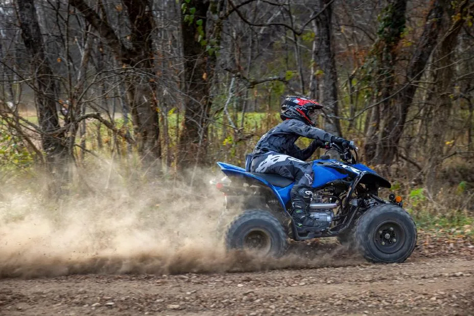 Honda TRX250X
