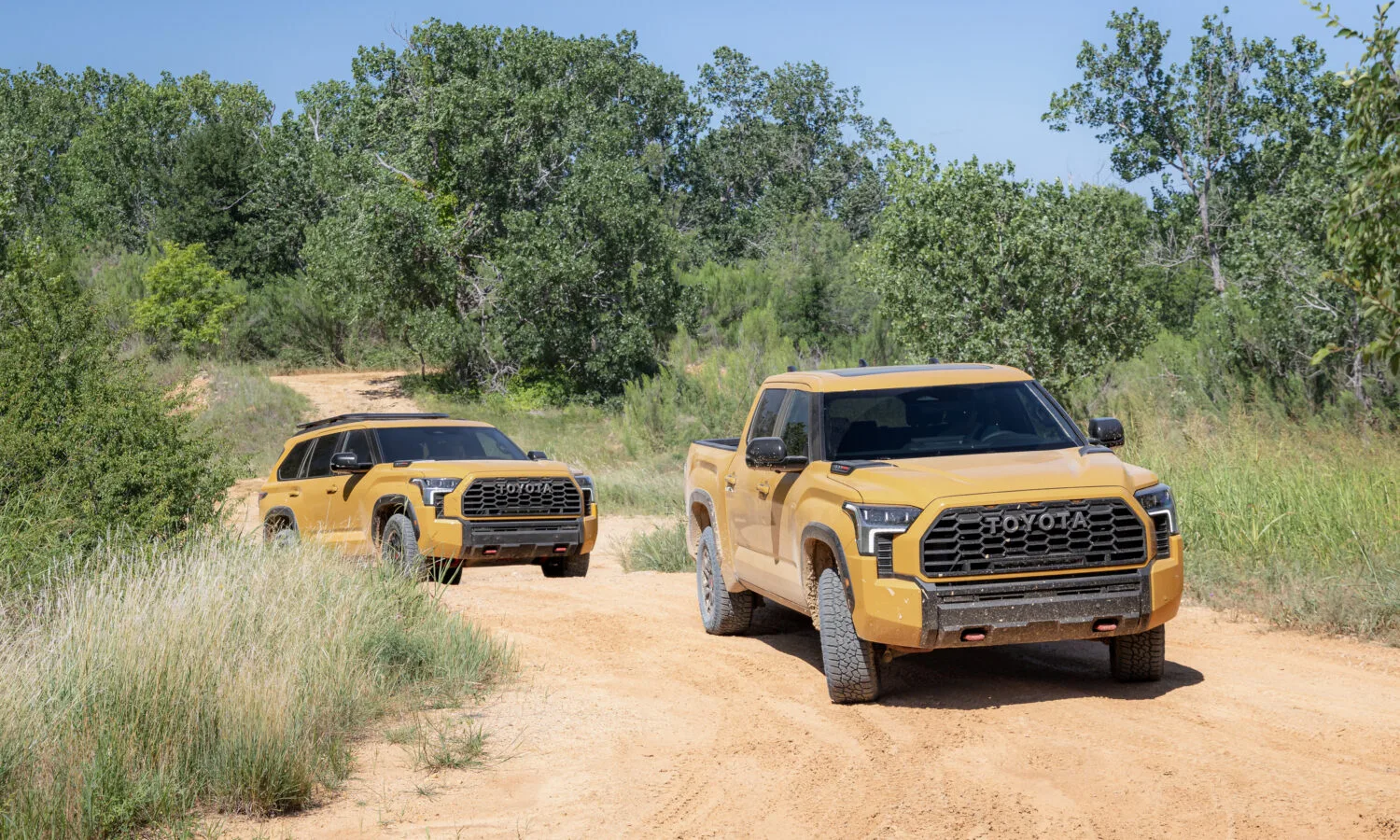 2027_Toyota_TRDPro_Family_HoneyComb-2