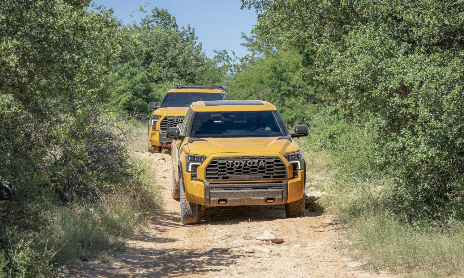 2027_Toyota_TRDPro_Family_HoneyComb-3
